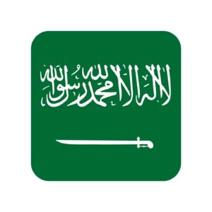 Saudi Arabia Business Email Database