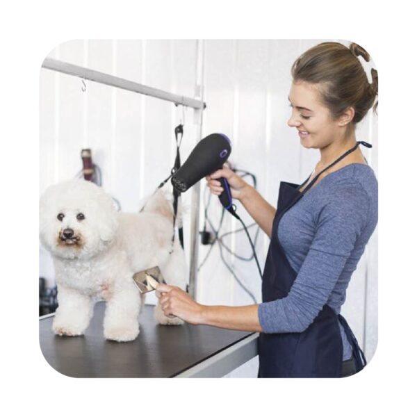 USA Dog Groomers Email List Database